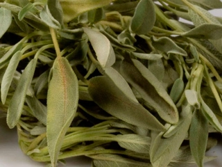 Geniz Akıntısı Bitkisel Tedavi Geniz Akıntısı Bitkisel Tedavi